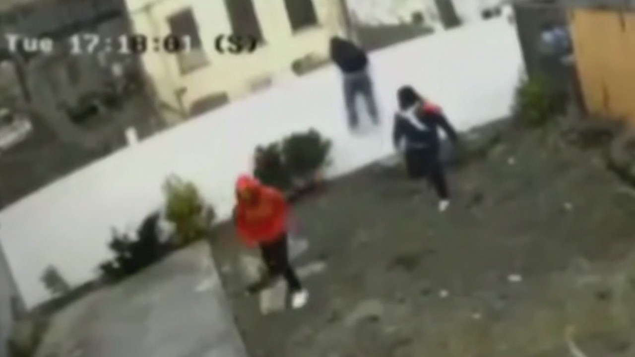 Brooklyn chase and murder