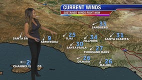 Monday morning weather forecast