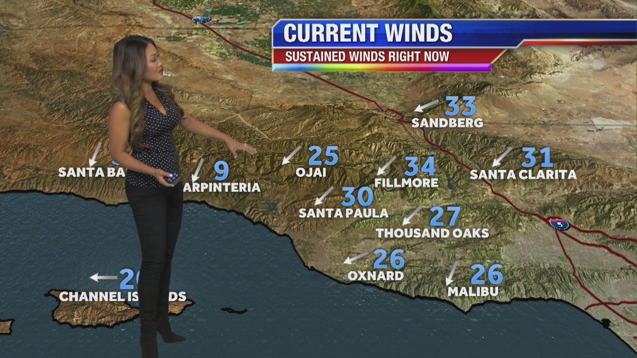 Monday morning weather forecast