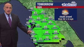 Tampa weather | Mostly sunny conditions