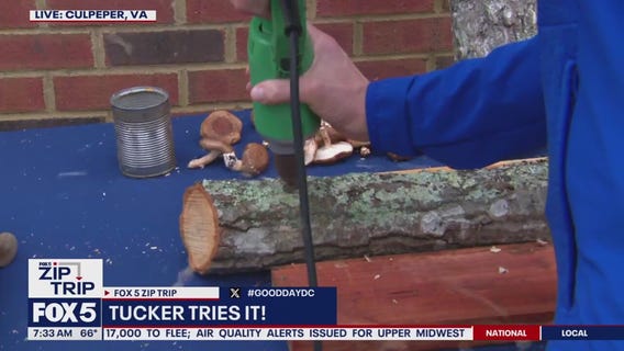 Zip Trip to Culpeper: Tucker Tries It!