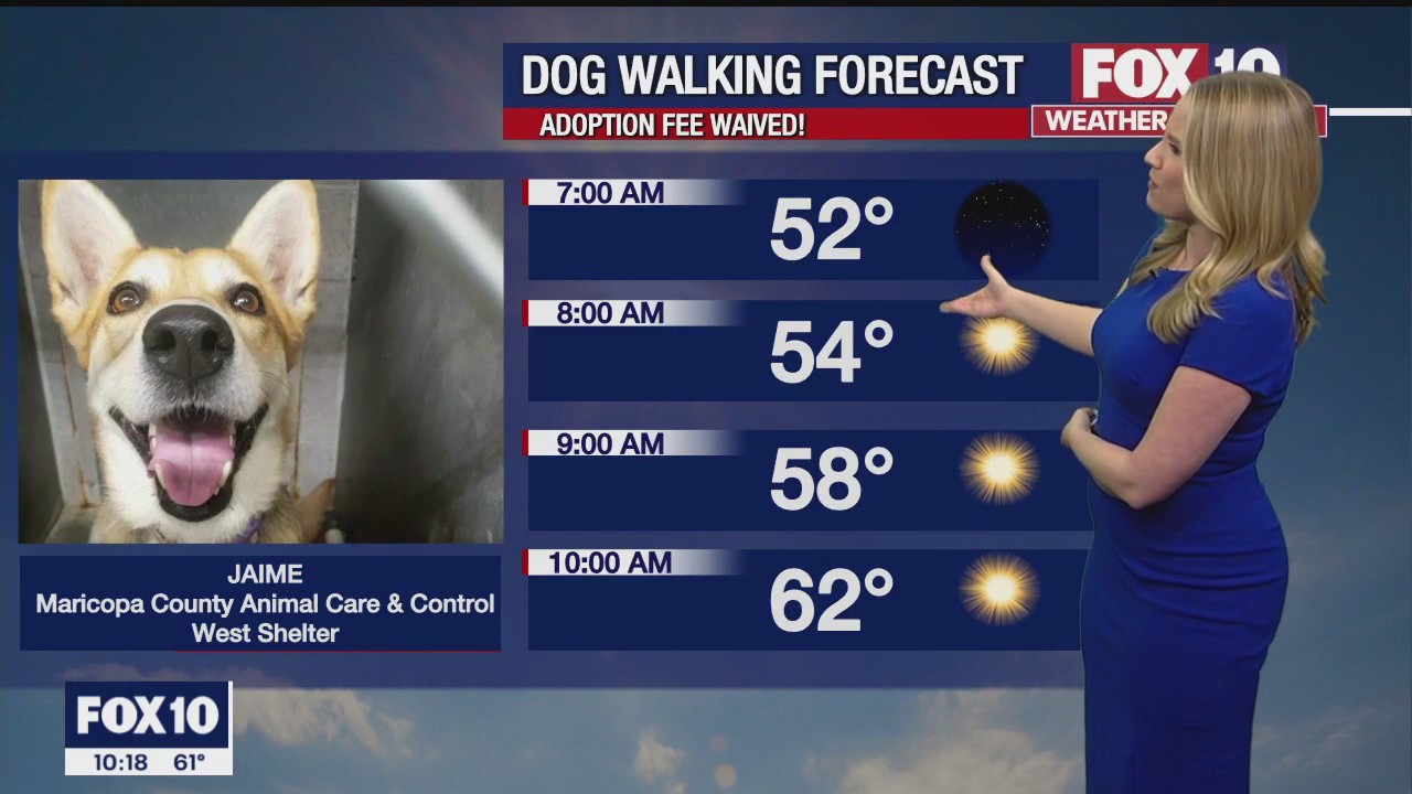Evening Weather Forecast - 11/19/22