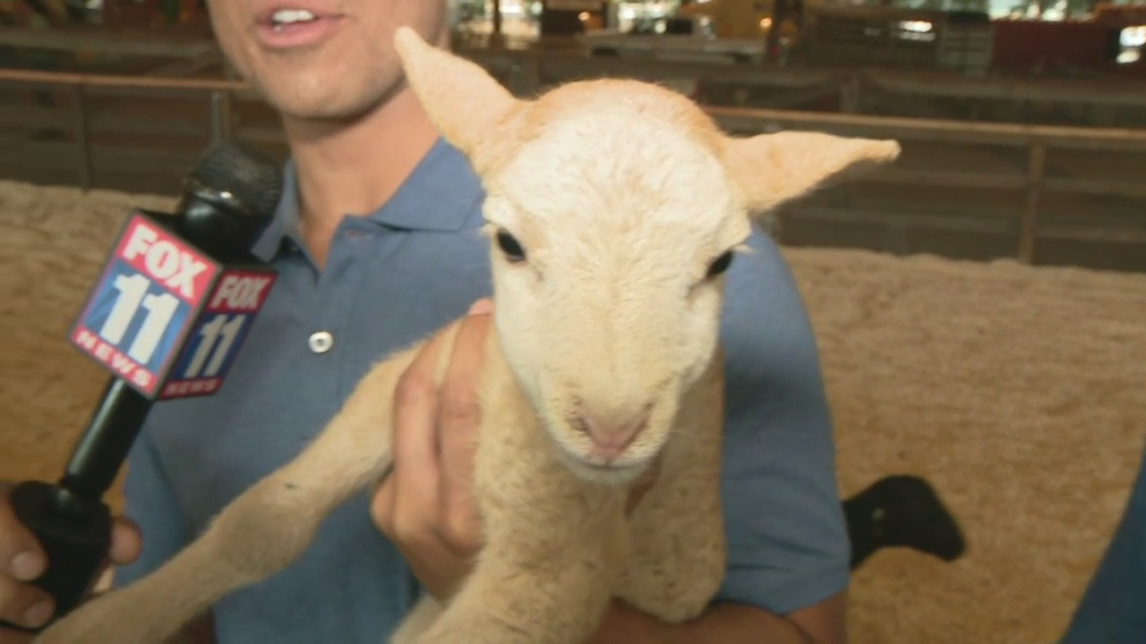 Los Angeles County Fair opens Friday in Pomona