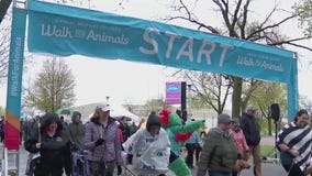 AHS Walk for Animals early registration underway