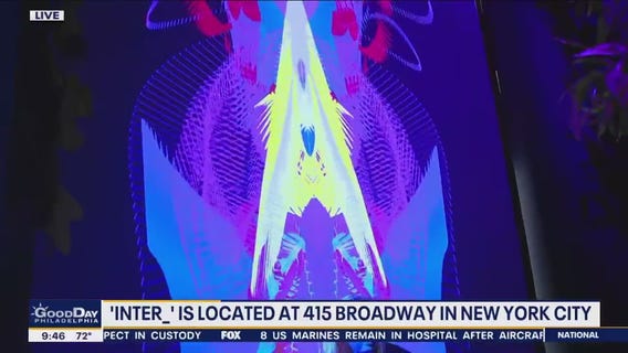 New NYC exhibit transports you to another world