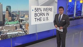 Somali population stats in Minnesota