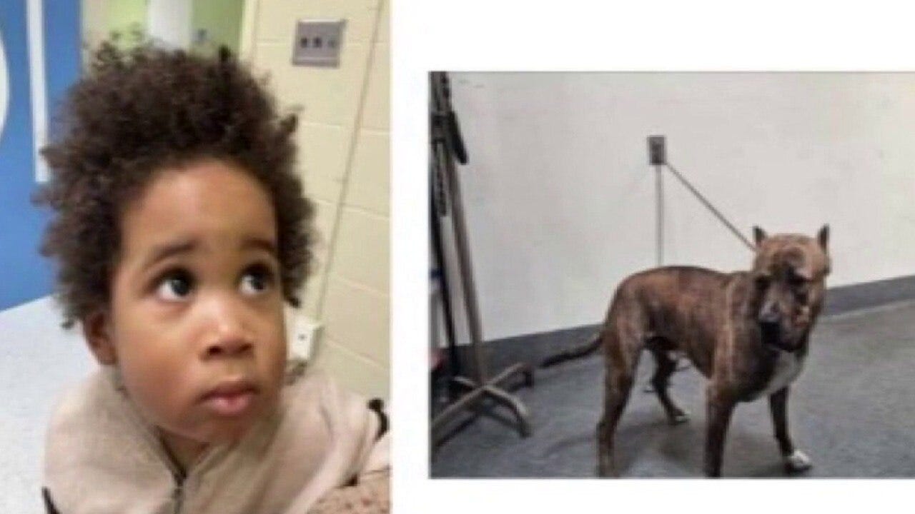 Toddler, dog found alone in car in LA