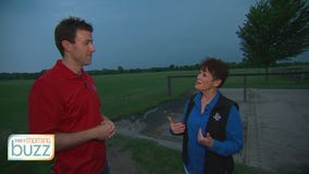 Polo Classic returns to Maple Plain