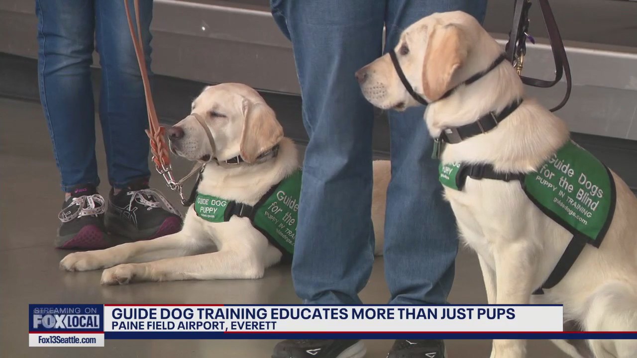 What's happening at Paine Field? Puppies & a powerful mission!