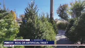 Do you prefer a real or artificial tree for the holidays?