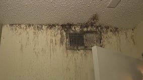Houston residents living in deplorable conditions begging for help