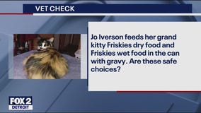 Vet Check: Questions from Cat Owners