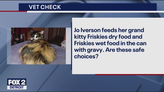 Vet Check: Questions from Cat Owners