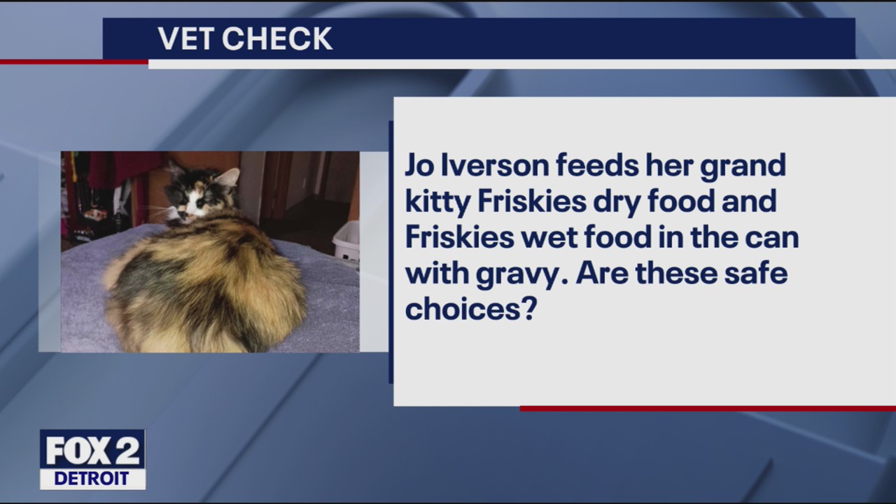 Vet Check: Questions from Cat Owners