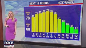 Tampa weather | Sunshine and warm temps on Tuesday