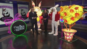 Lantern Stroll at Canterbury Village