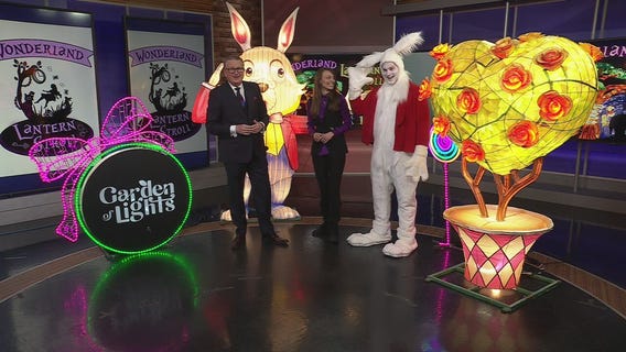 Lantern Stroll at Canterbury Village