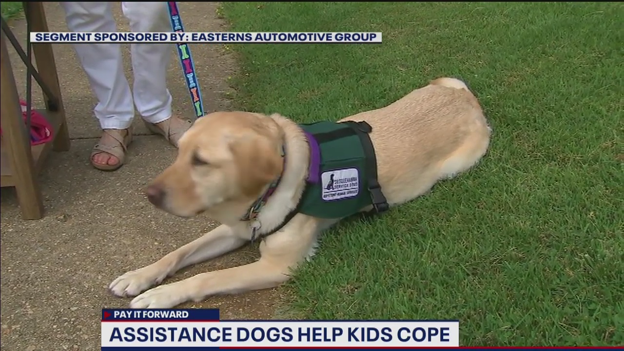 Assistance dogs provide children with emotional and educational support