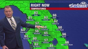 Tampa weather | Friday forecast