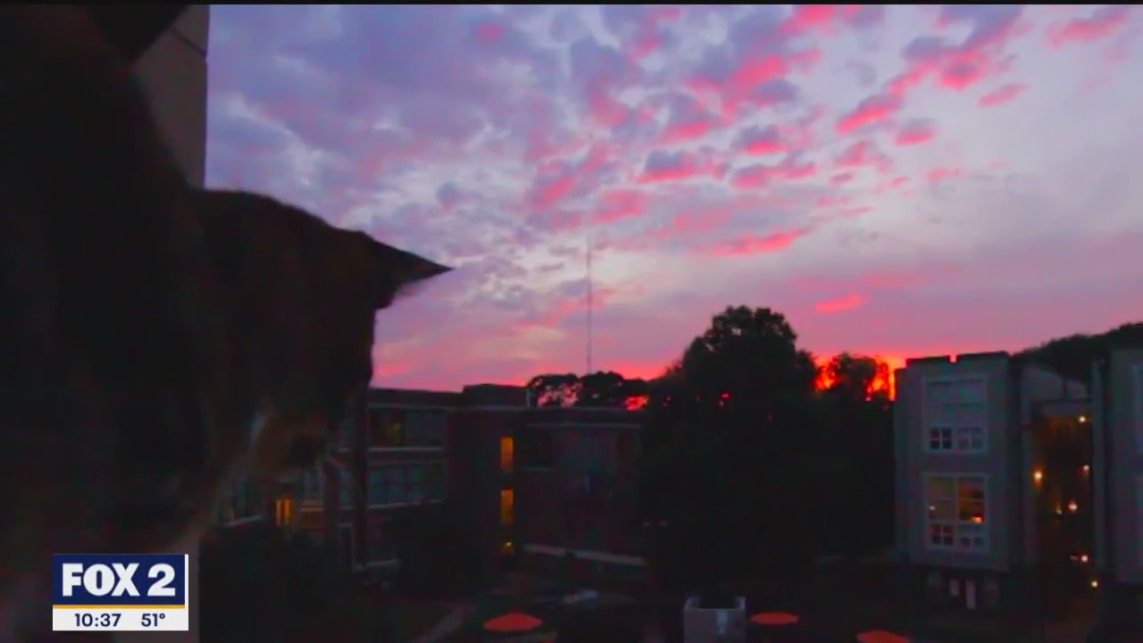 Mental Health Monday: Coping with Seasonal Affective Disorder