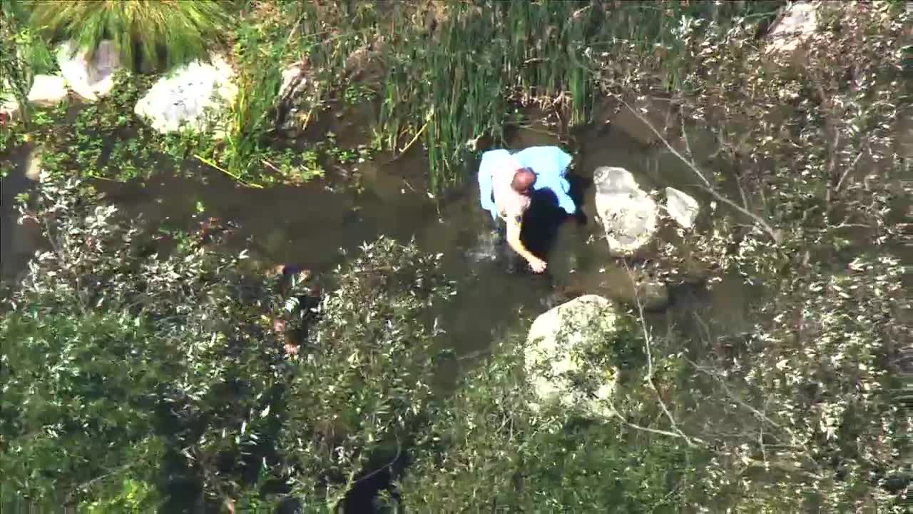 East Bay gator caught, killed