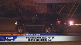 Police investigating person killed, hit by car in Sterling Heights