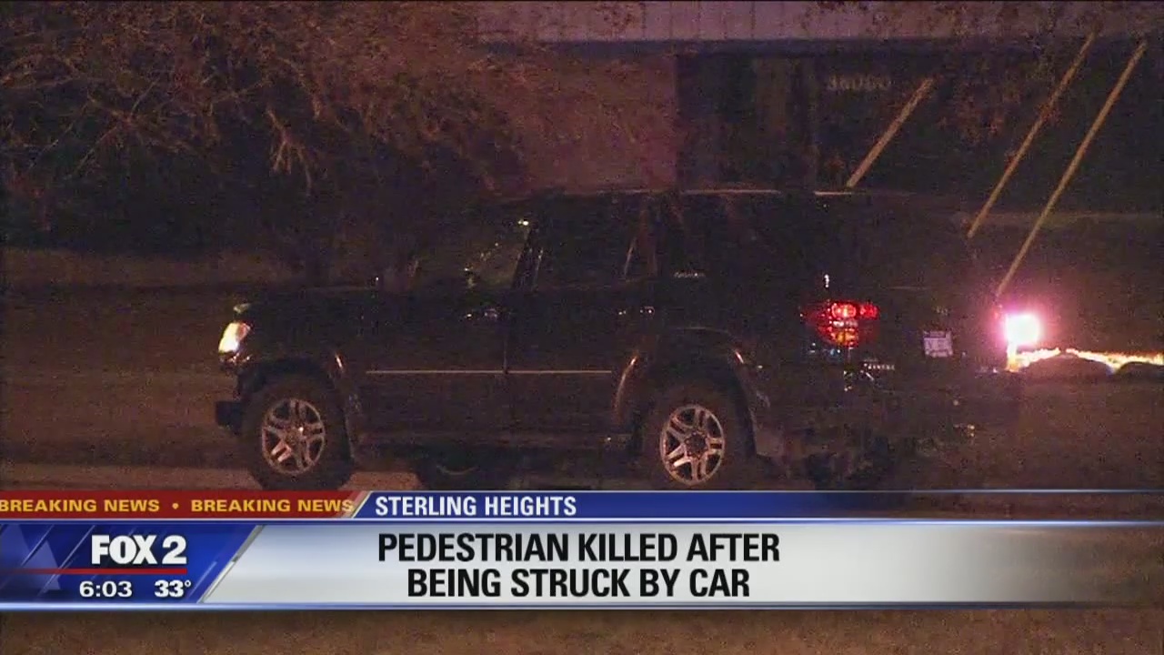 Police investigating person killed, hit by car in Sterling Heights