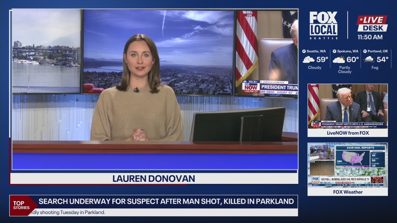 New Bigg's orca calf spotted in WA waters