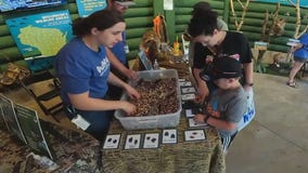 Wisconsin State Fair Exploratory Park