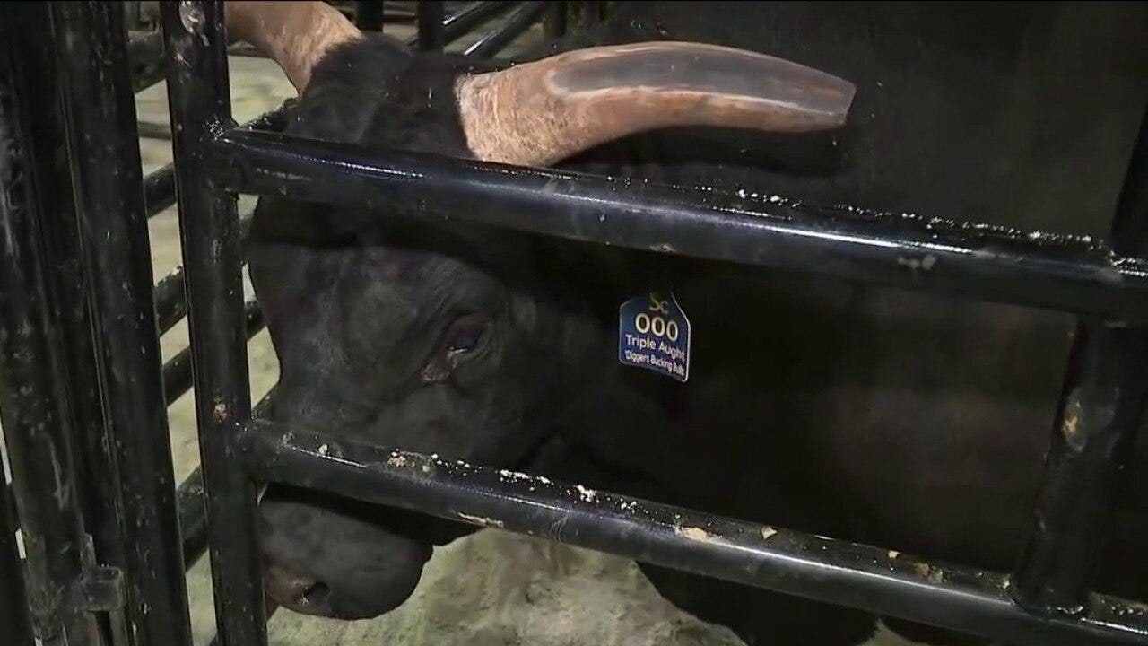 PBR’s Unleash the Beast charges back into Chicago at the United Center