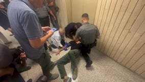 ICE agents accused of shoving photojournalists