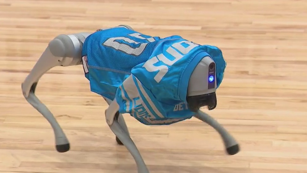 Lions players join students for lesson in rapidly changing technology