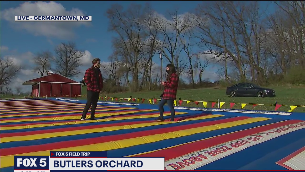 FOX 5 FIELD TRIP: Bunnyland at Butler's Orchard