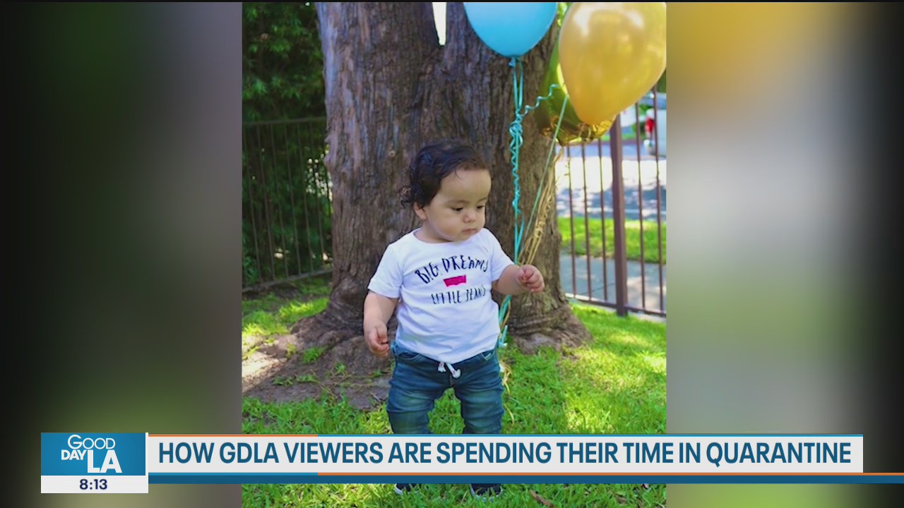 How GDLA viewers are spending their time in quarantine