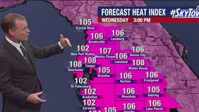 Tampa weather | Wednesday forecast