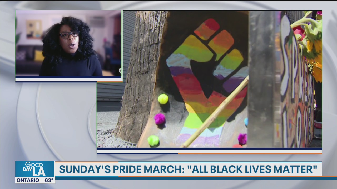 Jasmyne Cannick discusses fighting racism within the LGBTQ community