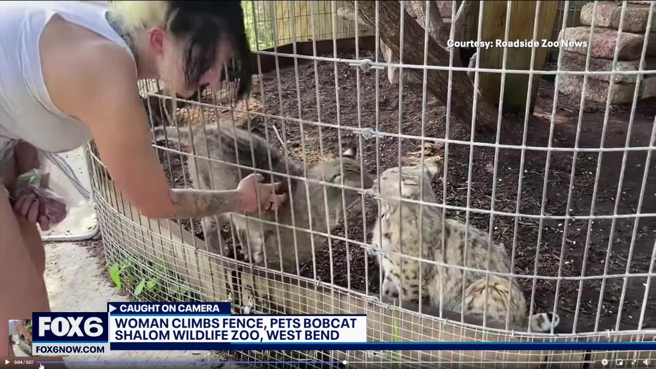 Woman sought for climbing barrier at Shalom Wildlife Zoo