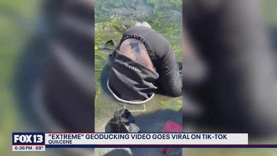 Viral video shows woman digging for geoduck in WA