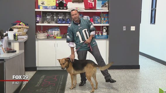 Homeless pets at Brandywine SPCA searching for furever homes