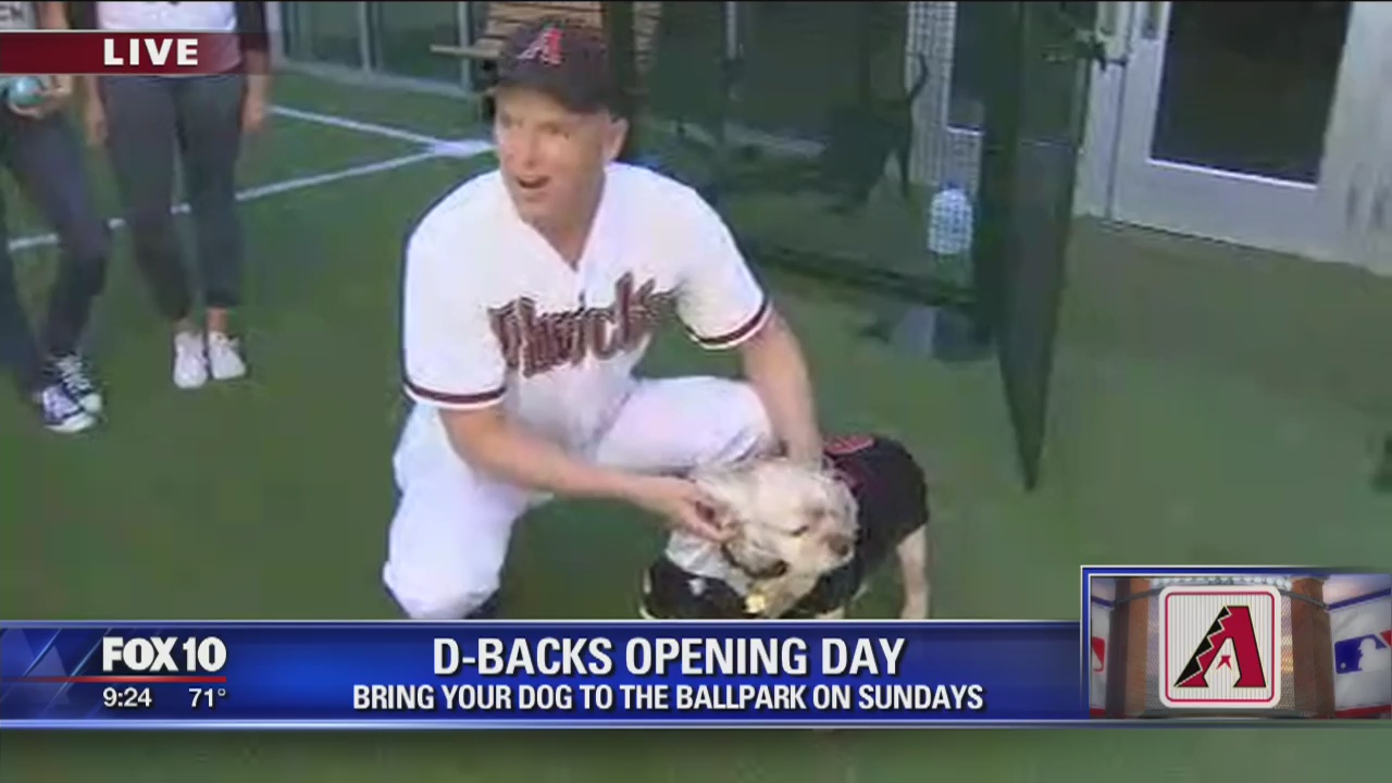 Opening Day arrives for the D-backs