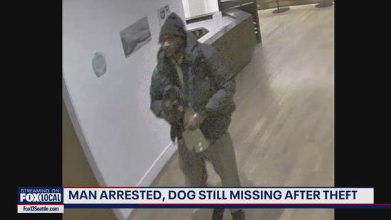 Man arrested, dog still missing after Kirkland theft