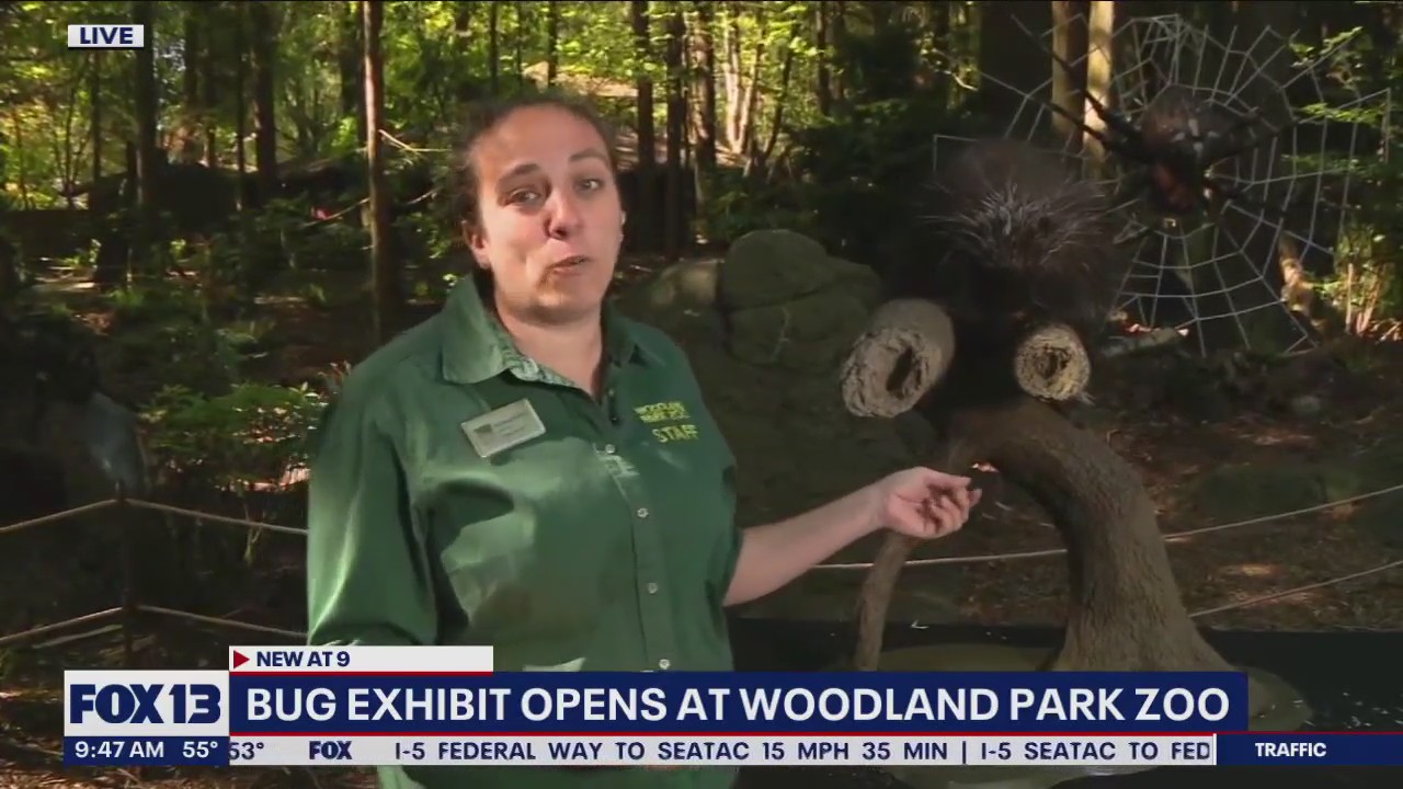 Bug exhibit opens at Woodland Park Zoo