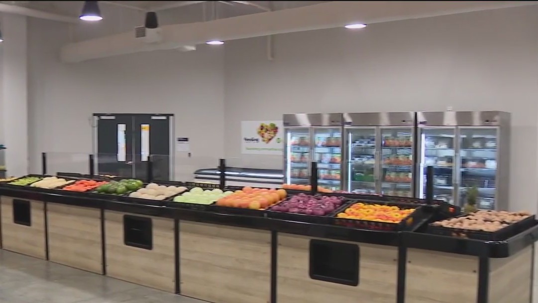 Feeding Tampa Bay helping amid shutdown