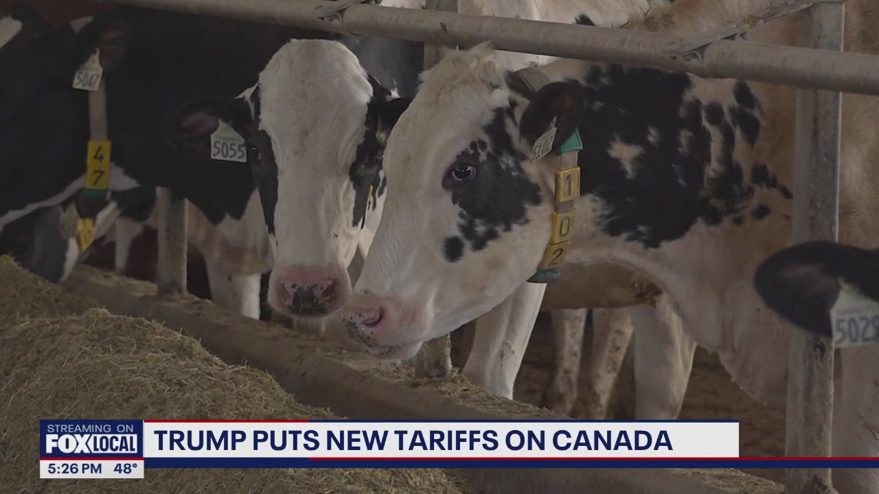 Trump puts new tariffs on Canadian dairy products