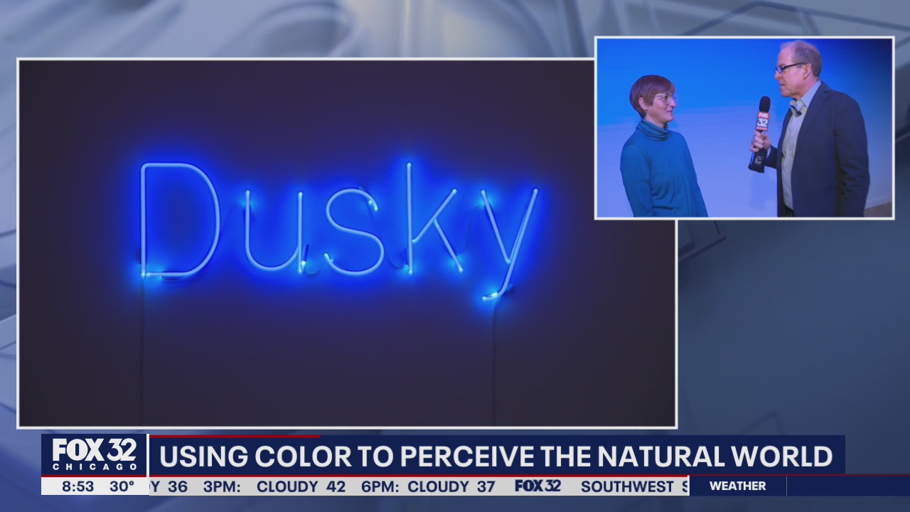 The Chicago Cultural Center's colorful new art exhibit is open