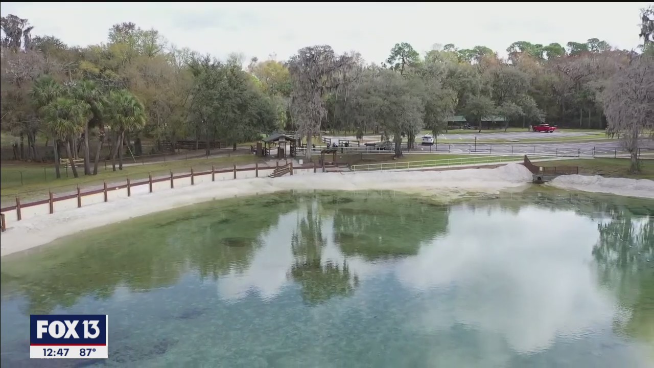Dip into old Florida at Lithia Springs Conservation Park