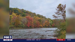 Fall foliage to peak in DC area