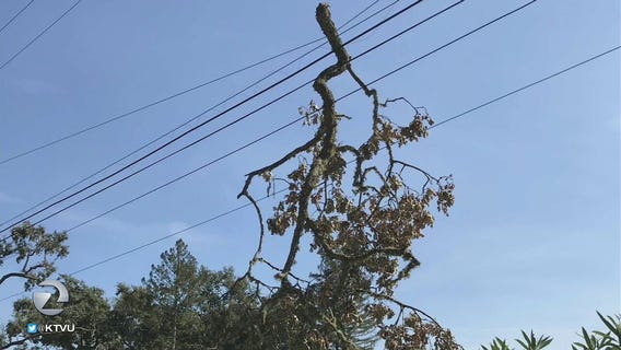 Pacific Gas and Electric: October shutoffs possibly prevented 56 fires in service areas