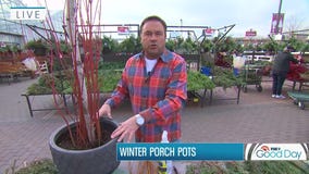 How to add a festive flourish to your container gardens