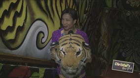 Christal’s NY Summer 2023